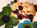 Crumble aux Mûres sauvages