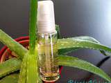 Diy Sérum Visage anti-imperfections à l'Aloe Vera pour le Carnaval des Blogs et des Plantes de Mars : Recette Express