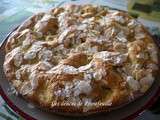 Gâteau moelleux aux pommes de Babou