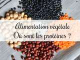 Alimentation végétale - Où sont les protéines