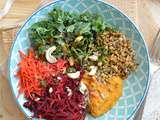 Buddha Bowl aux lentilles germées, purée de patate douce et crudités (végan)