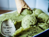 Sorbet au kiwi : recette facile