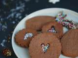 2016 me voilà !! Biscuits aux épices et au Chocolat