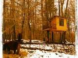 Cabane de Jules et Louis