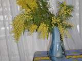 Bouquet de mimosa