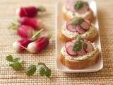 Tartines de chèvre frais et radis roses