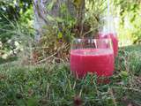 Smoothie tout rose, trèèèèès nourrissant