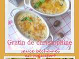 Gratin de christophine, sauce béchamel au roquefort