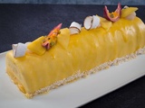 Bûche glacée fruits exotiques