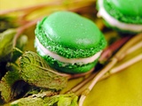 Vous saurez tout sur les macarons