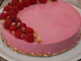 Entremet Framboises/Framboises