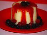 Panna cotta chocolat blanc fruits rouges