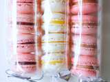 Papillotte de macarons