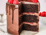 Layer cake Chocolat Framboises