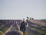 Escapade en Provence au pays de la lavande