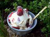 Crème Glacée au Chocolat Blanc et aux Framboises - Sans Œuf, Sans Sorbetière