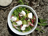 Salades de Petits Pois, Fèves et Radis à la Ricotta