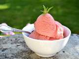 Sorbet Fraise Kiwi