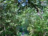 Déambulation dans la Nature