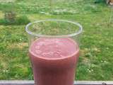 Smoothie aux fruits rouges, kale, banane et protéines de chanvre #vegan