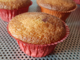 Muffins aux griottes et pépites de chocolat