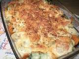 Gratin brocolis, chou fleur et carottes piquant piquant