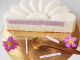 Entremet violette et chocolat blanc | Tout Gourmand | Recettes faciles | Avec ou sans Thermomix