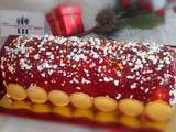 Bûche de Noël (Mangue, passion, framboise)