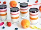 Panna cotta Arlequin {abricots fraises myrtilles}