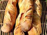 Boulange du dimanche : baguettes au levain