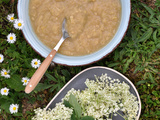 Compote fleurs de sureau rhubarbe