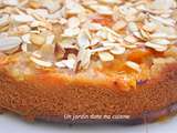 Gâteau abricots