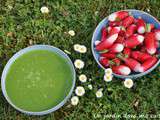 Velouté de fanes de radis