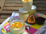 Mousse mangue passion au Companion