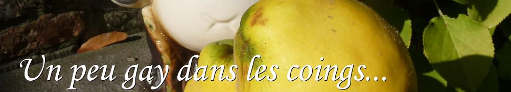 Recettes de Un peu gay dans les coings...