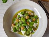 Burrata aux fèves, pesto et graines de courge