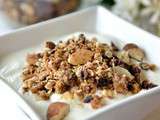 Granola à la noix de coco et éclats de cacao