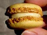 Macaron au spéculoos