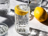 Comment faire un bon Gin Tonic