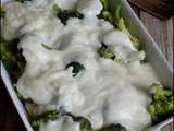 Gratin de brocoli au bleu