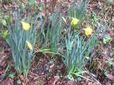 Tour au jardin sous le soleil