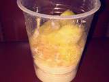 Verrine miss Congo mangue- ananas