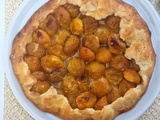 Tarte rustique aux prunes