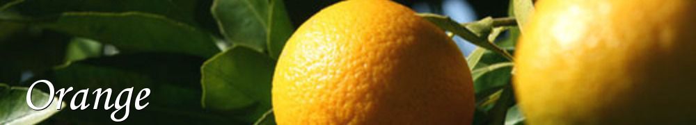 Recettes de Orange